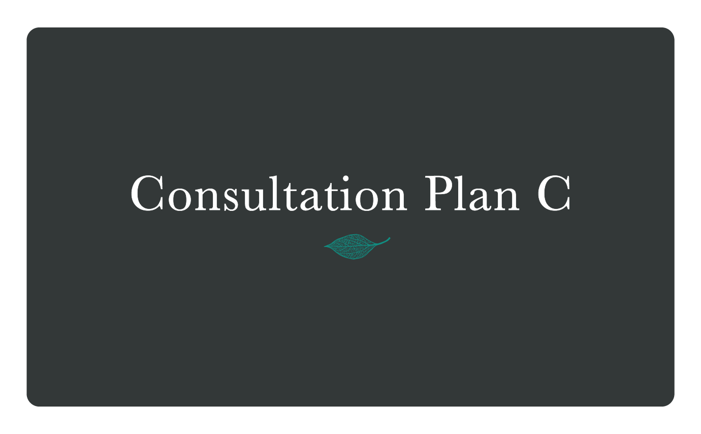 Consultation Plan C