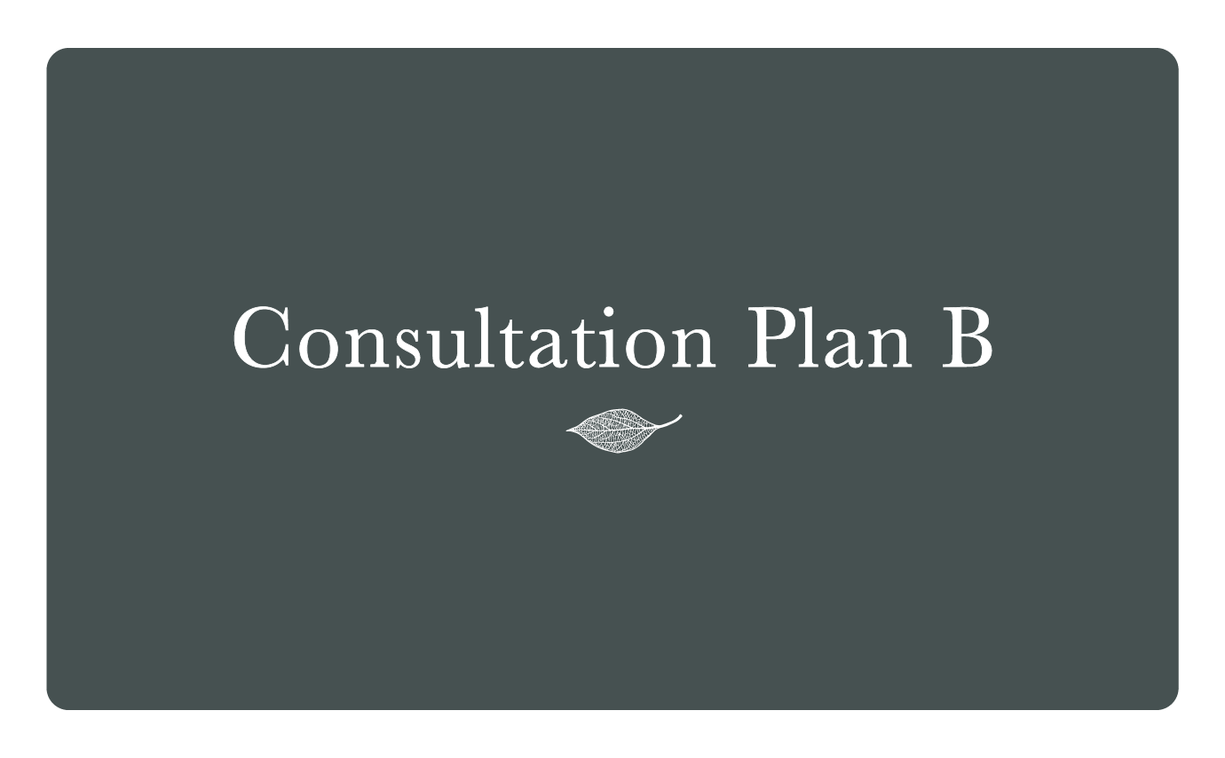 Consultation Plan B