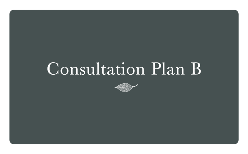 Consultation Plan B