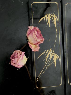 Two of Roses magazine (coming soon)