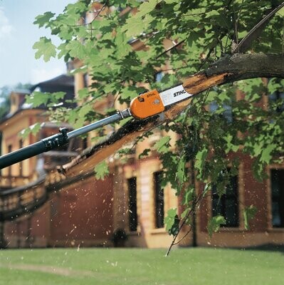 Petrol Pole Pruners