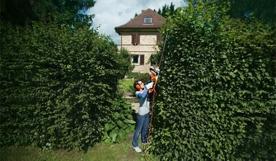 Electric Hedge Cutters