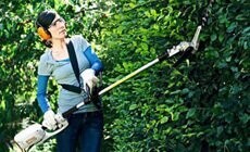 Electric Long-reach Hedge Cutters