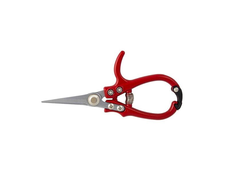 Ergo Snips