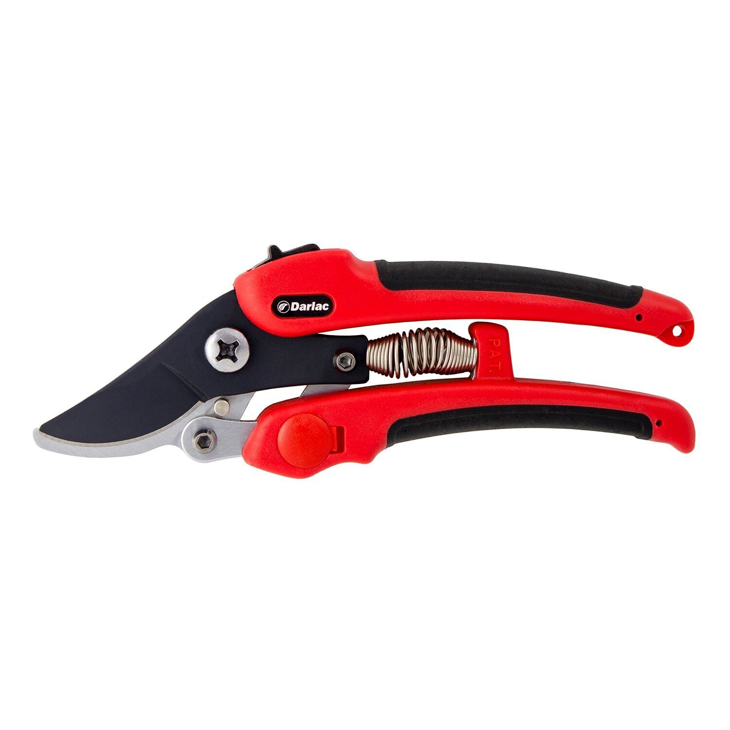 Compound Action Pruner