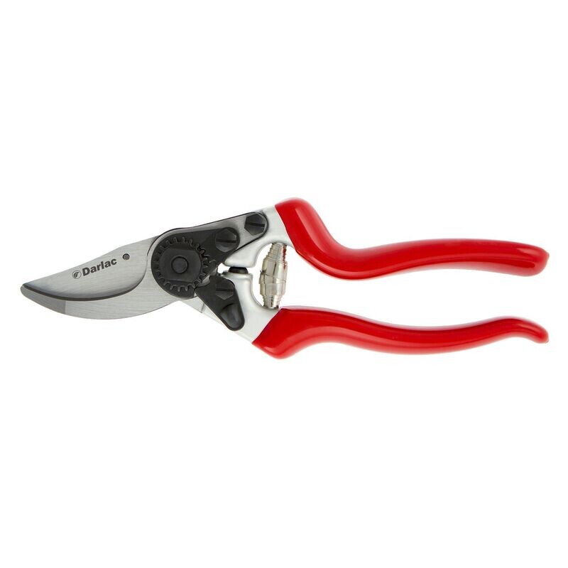 Expert Bypass Pruner