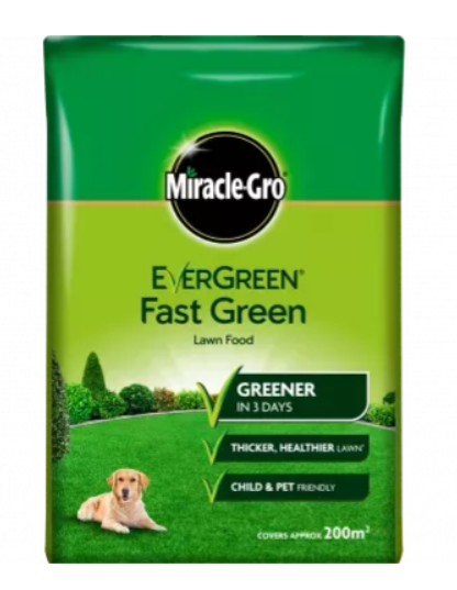 Fast Green 200m2
