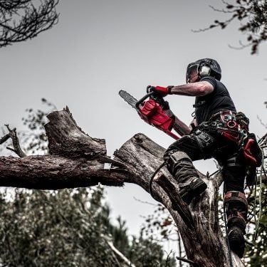 Chainsaws