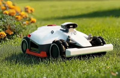 Robotic Mower