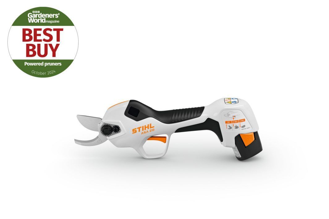 Stihl ASA 20 Cordless Secateurs Tool Only