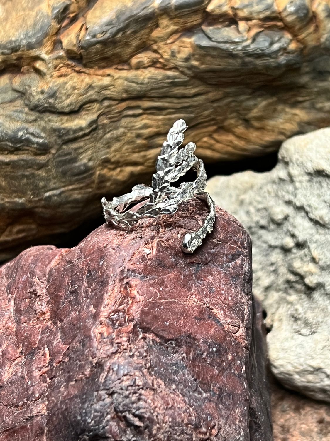 Cedar Stem Spiral Ring