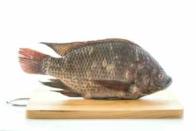 Fresh and fried Tilapia prices range from Ksh. 300 to Ksh. 1500 for different sizes