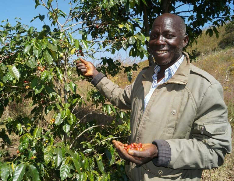 Burundi - Cococa