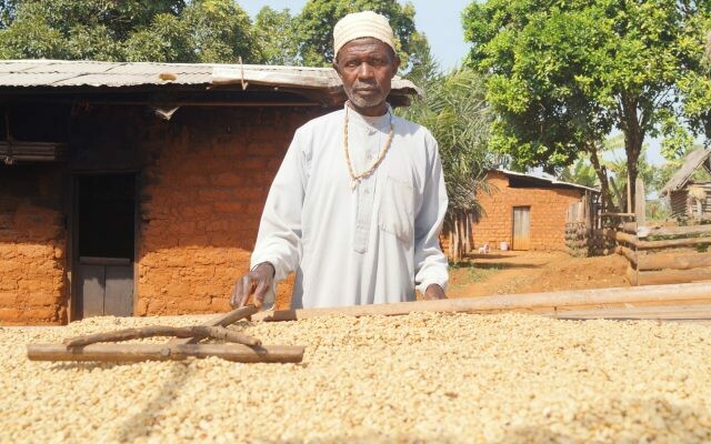 Burundi - Cococa