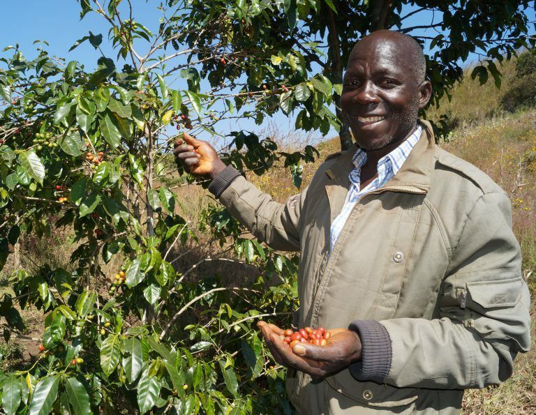 Burundi Cococa - Espresso