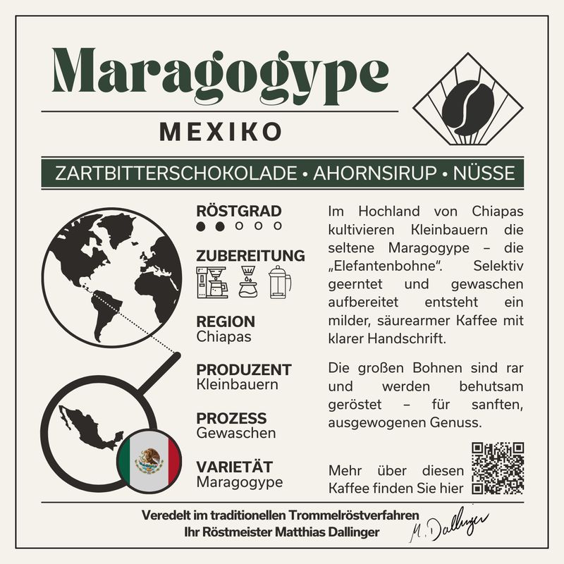 Mexiko Maragogype - Filter