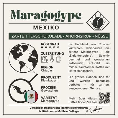Mexiko Maragogype - Filter
