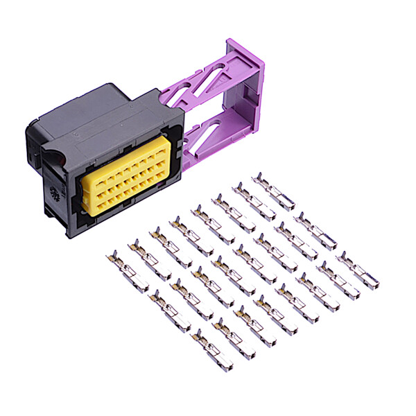 Stecker ECU
