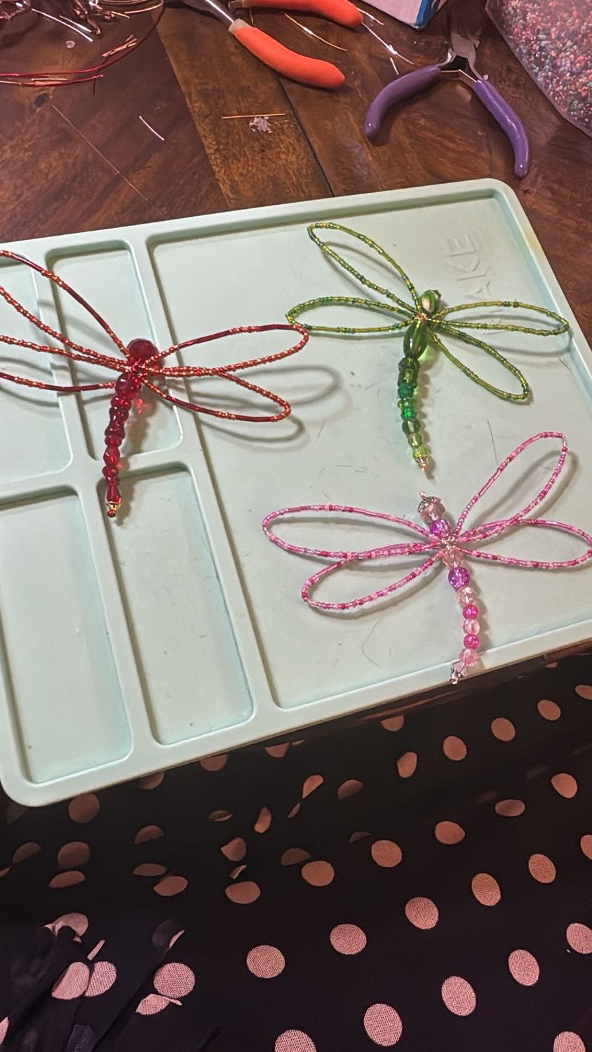 DIY Dragonfly Workshop