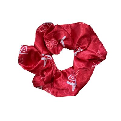 TEAM DSV SCRUNCHIE