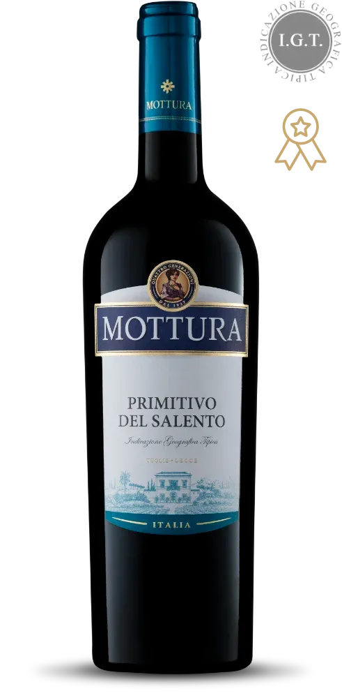 12 Bottles - Primitivo del Salento Mottura 2023