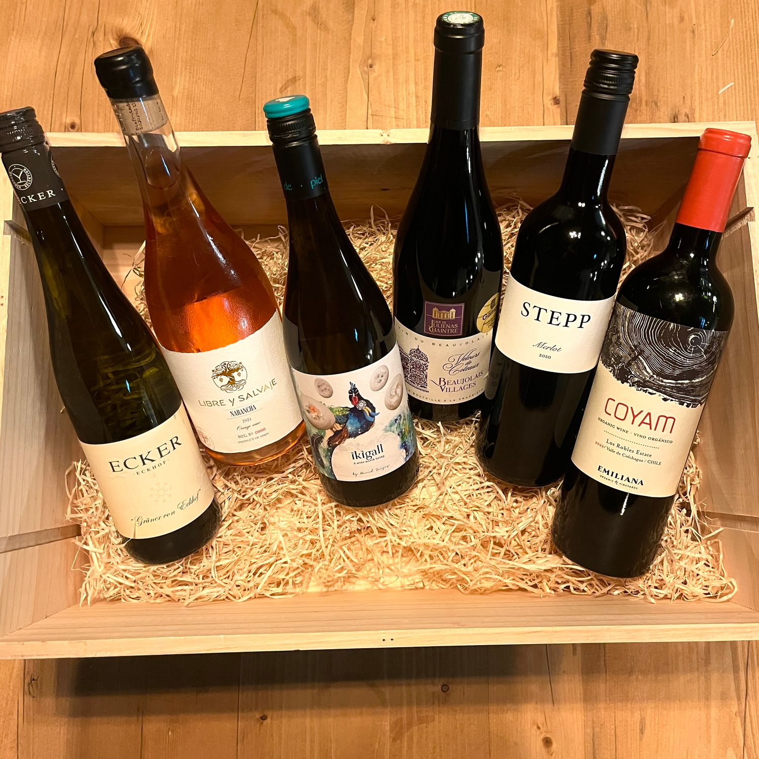 100 Club 6 Pack - February 2026 100 Club 6 Pack - February 2026