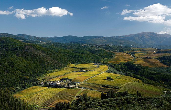 Selvapiana Wine Dinner at Fox Fine Wines - Wednesday 10th June at 6.30pm