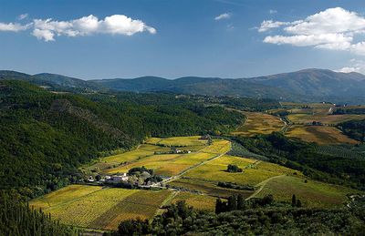 Selvapiana Wine Dinner at Fox Fine Wines - Wednesday 10th June at 6.30pm