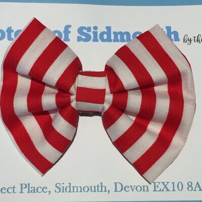 Toto's bow tie - deckchair stripes (red and white)
