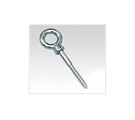Coach Screw 8mm x 60mm