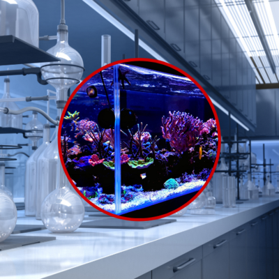 ALIMENTAIRE, EAU POTABLE & AQUARIUM