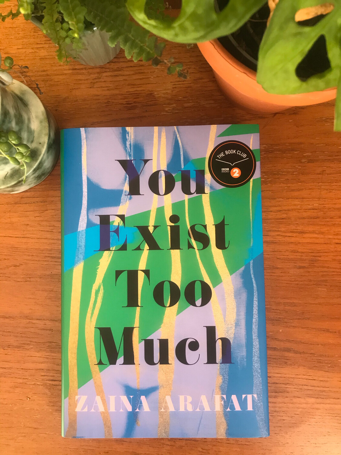 You Exist Too Much By Zaina Arafat