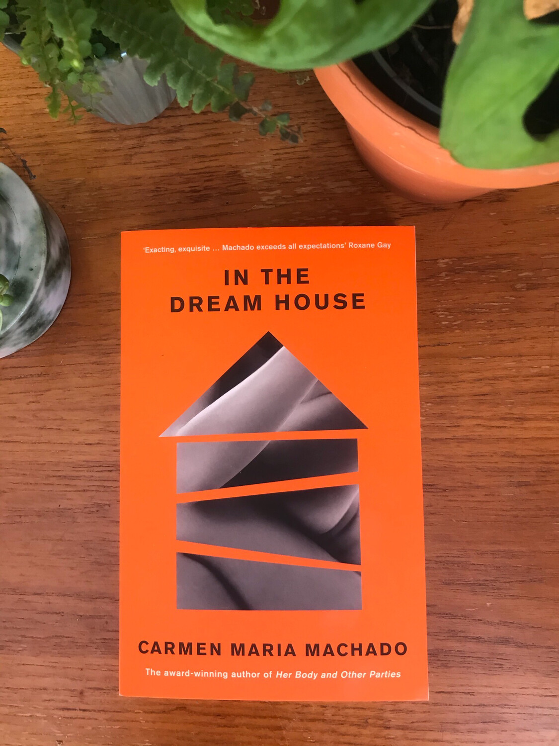 In The Dream House By Carmen Maria Machado