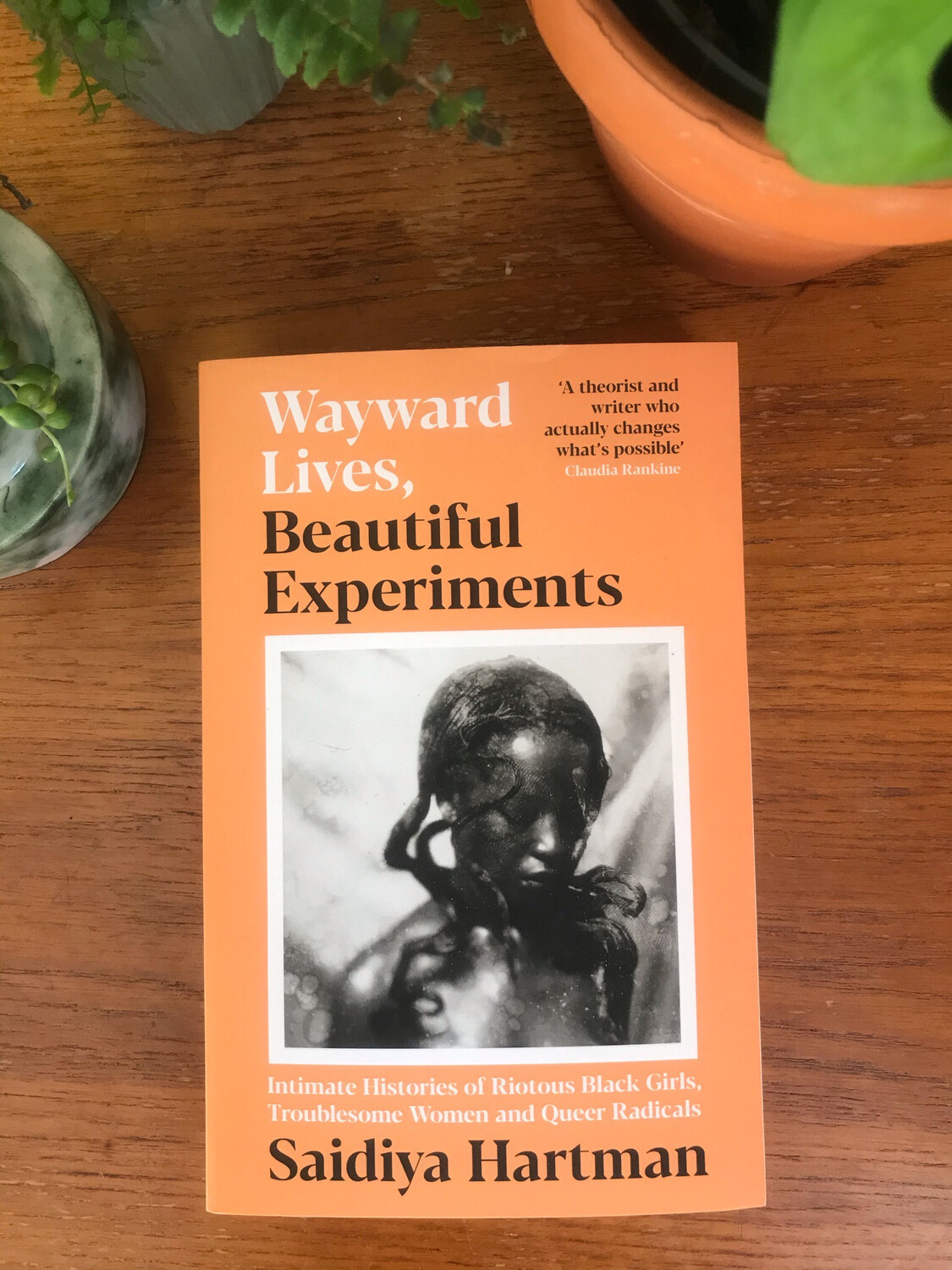 Wayward Lives, Beautiful Experiments: Intimate Histories Of Riotous Black Girls, Troublesome Women And Queer Radicals By Saidiya Hartman