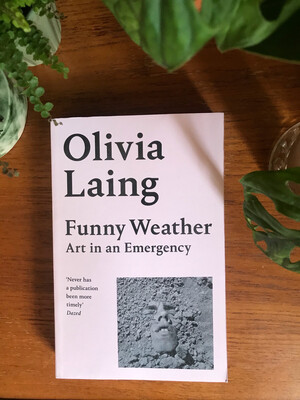 Funny Weather: Art In An Emergency By Olivia Laing