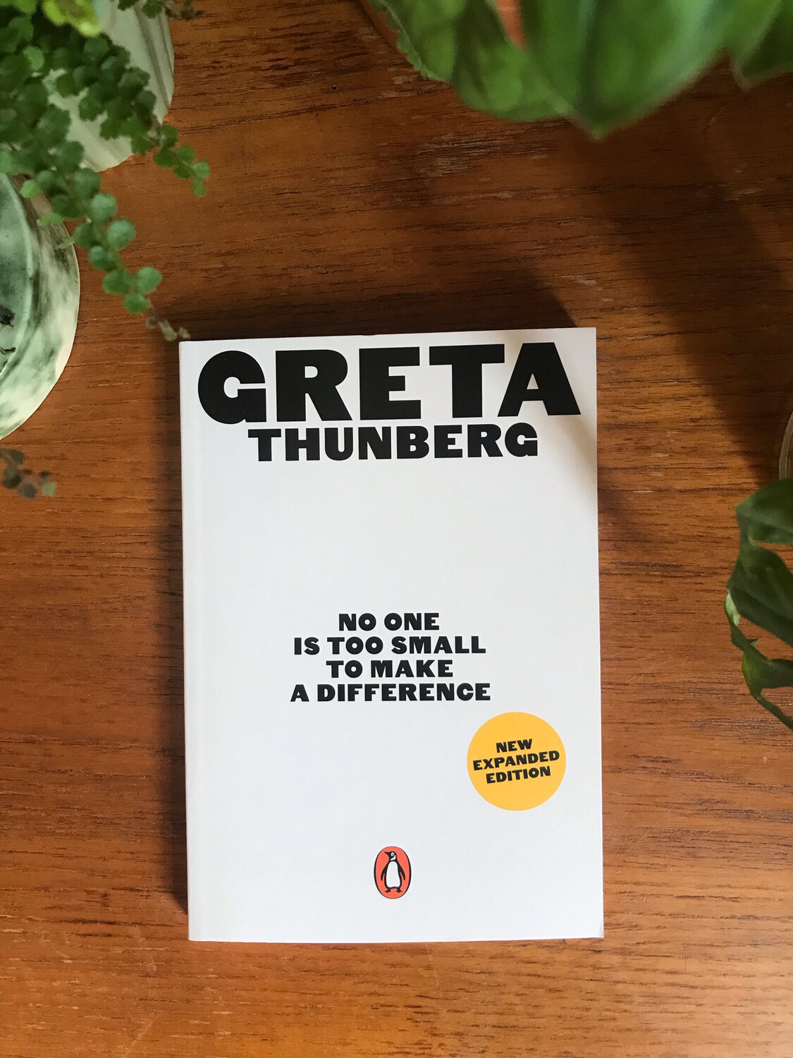 No One Is Too Small To Make A Difference By Greta Thunberg