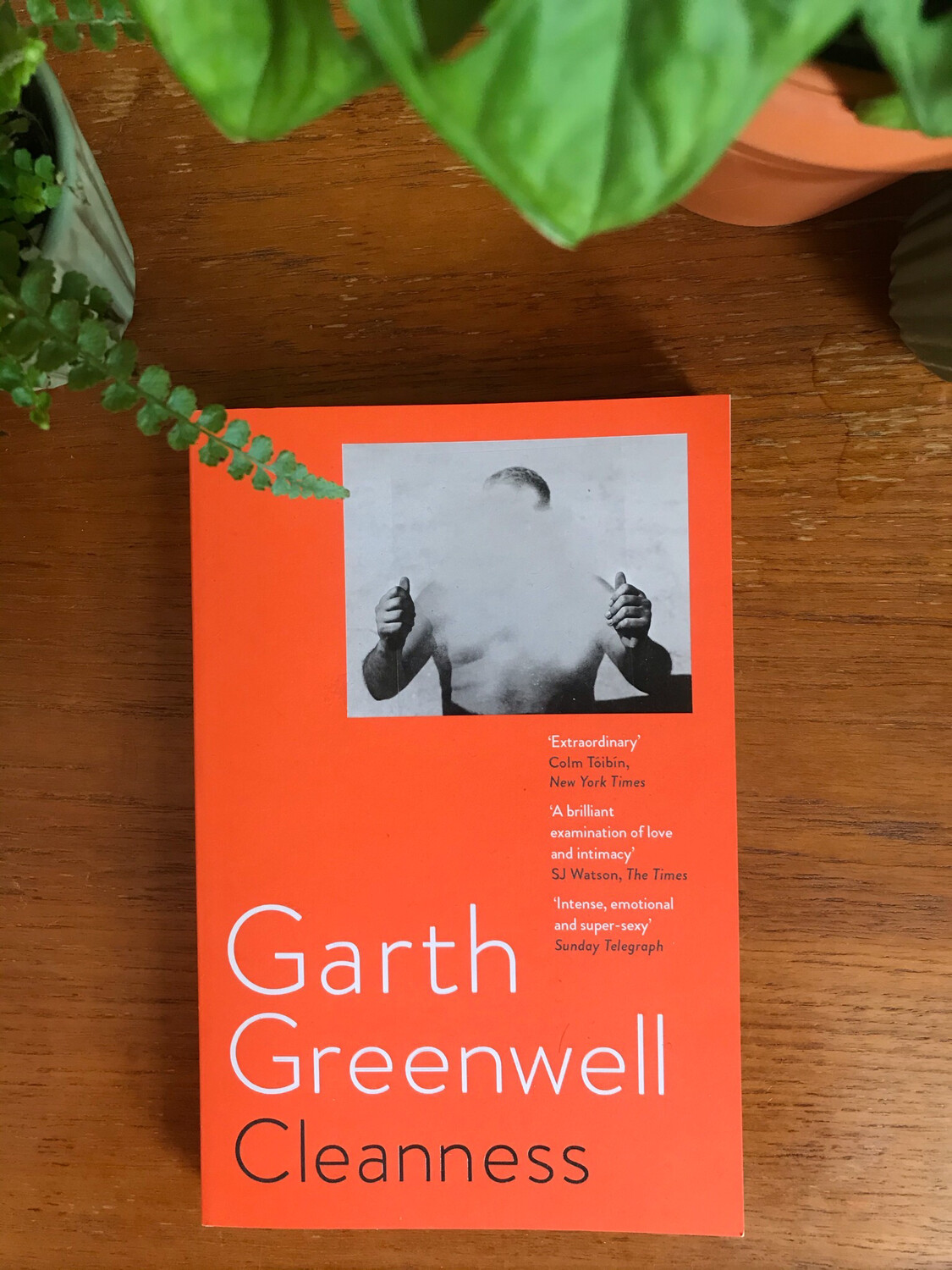 Cleanness By Garth Greenwell
