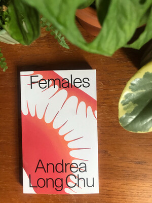 Females: A Concern By Andrea Long Chu