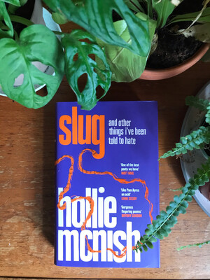 Slug By Hollie Mcnish