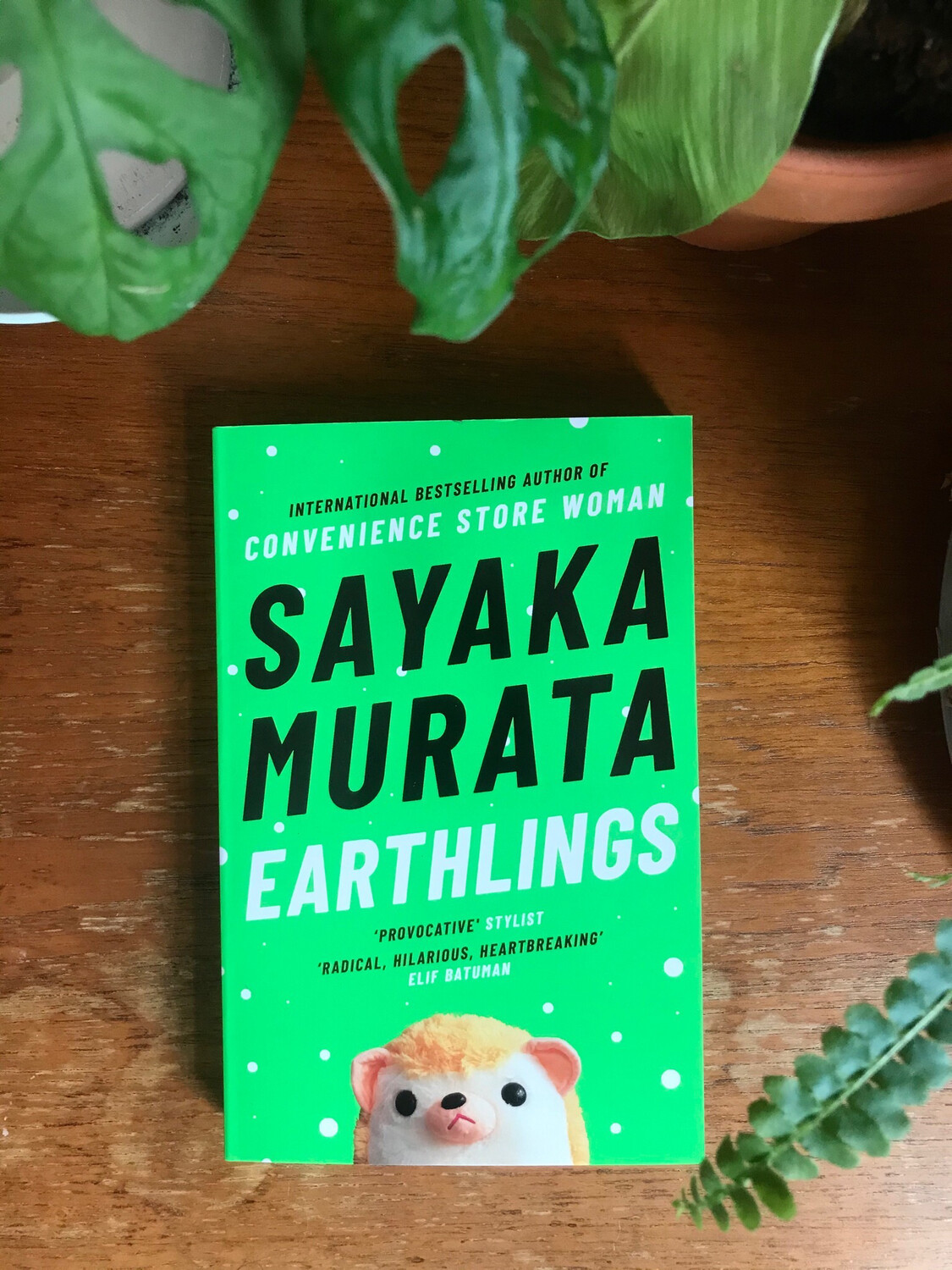 Earthlings By Sayaka Murata