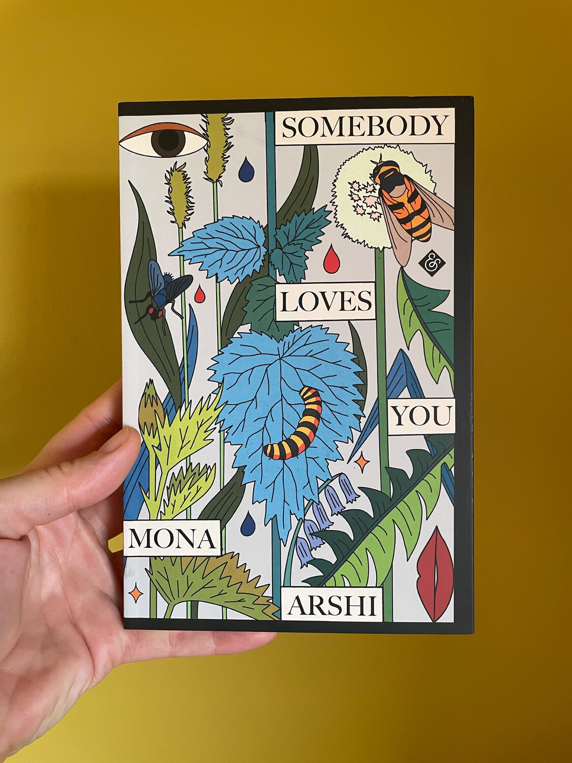 Somebody Loves You By Mona Arshi