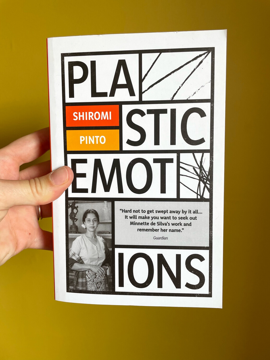 Plastic Emotions By Shiromi Pinto