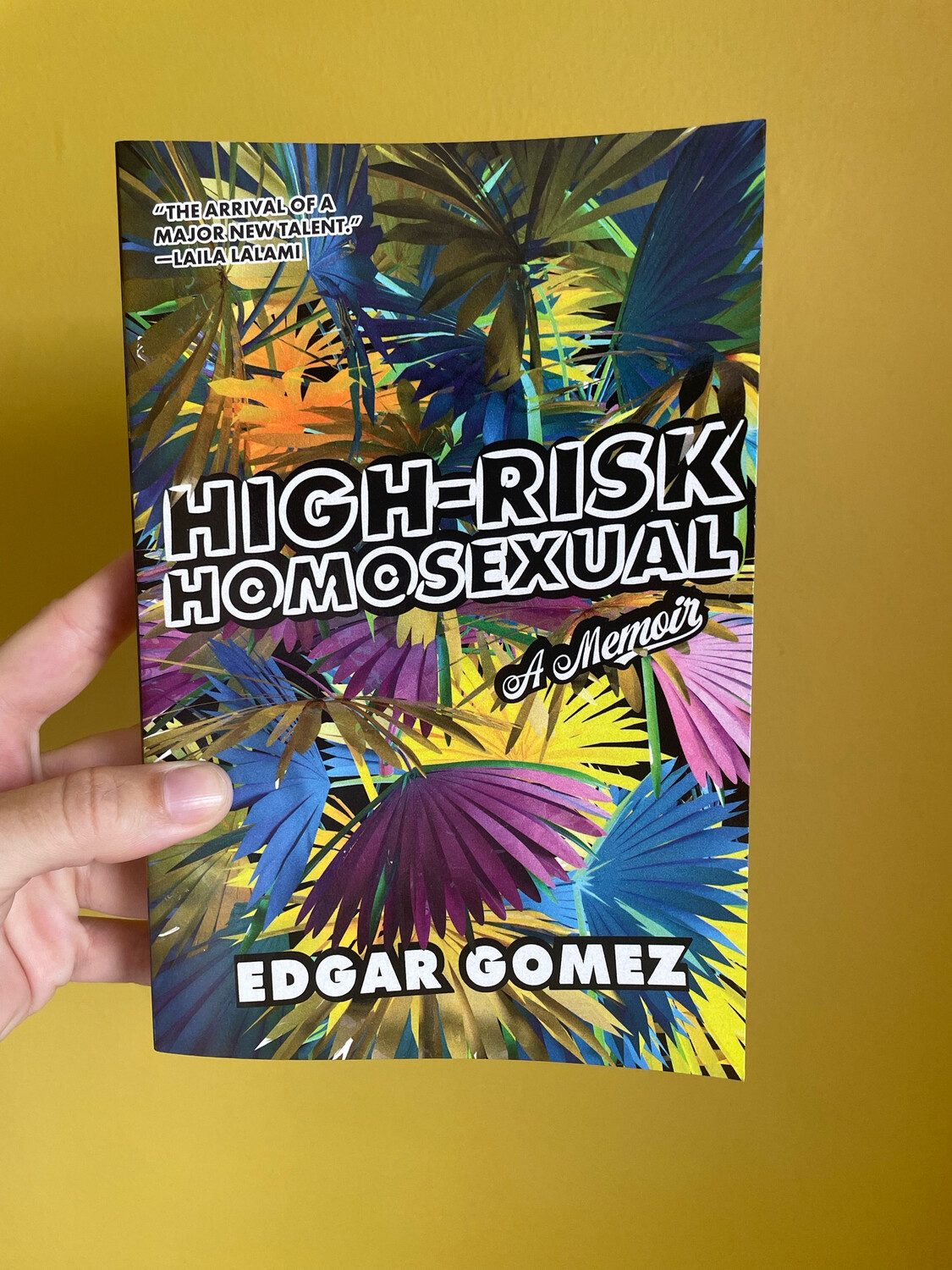 High Risk Homosexual By Edgar Gomez