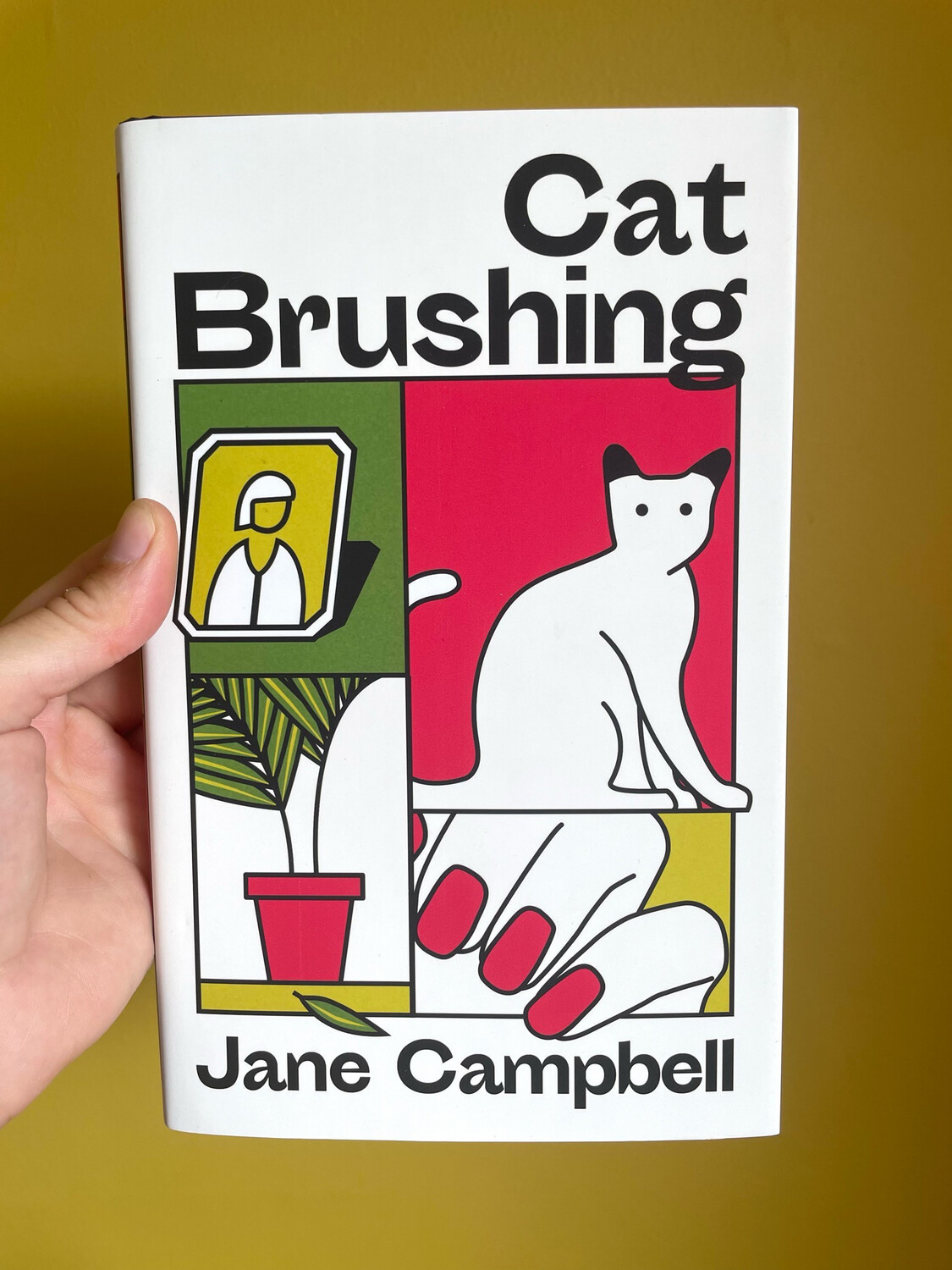 Cat Brushing By Jane Campbell