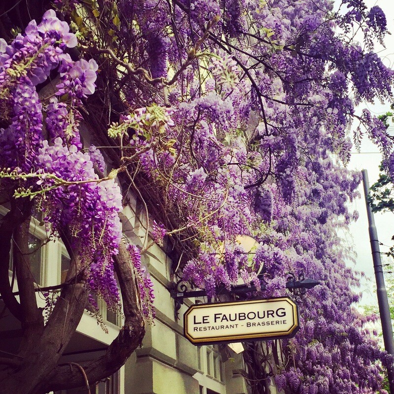 Gutschein Restaurant le Faubourg