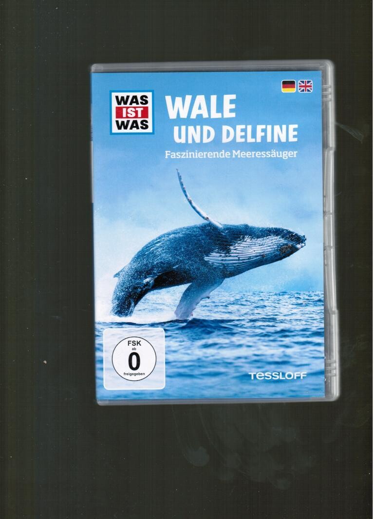 Waale und Delphine
