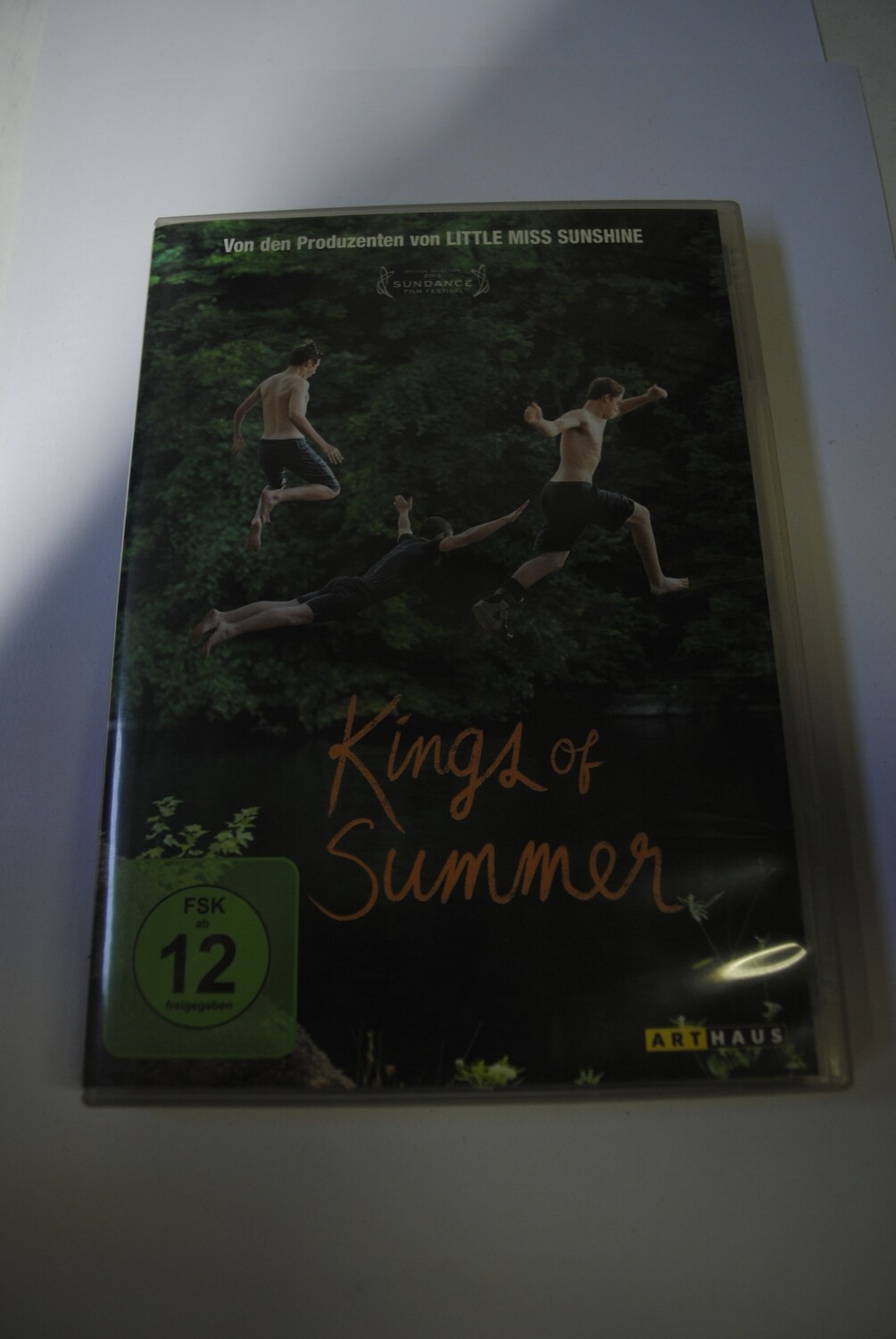 KINGS OF SUMMER auf DVD
