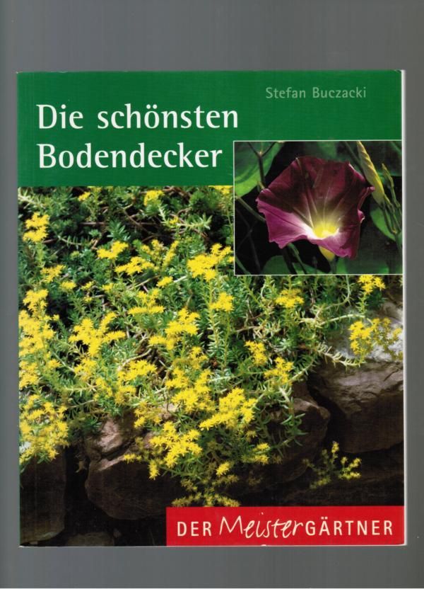 Die schönsten Bodendecker