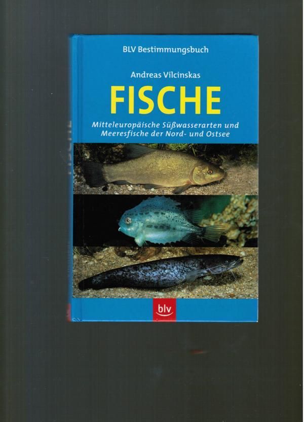 Fische
