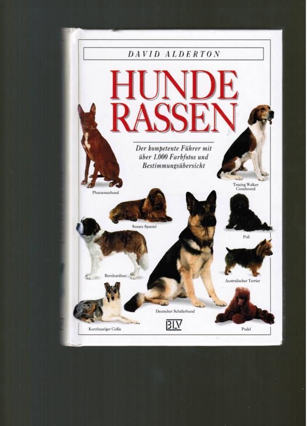 Hunde Rassen